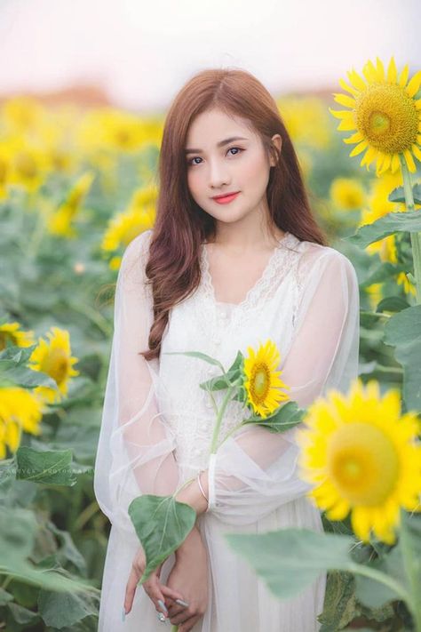 丁香花在线电视剧全集免费